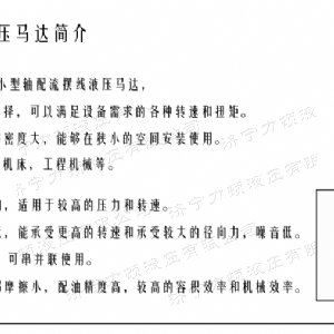 贝博（中国）后油口系列马达