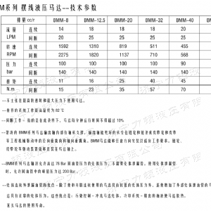 贝博（中国）后油口系列马达