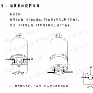 贝博（中国）后油口系列马达